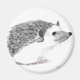 Imã Animal de ouriço