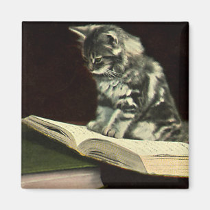Imã Animal do vintage, livro de leitura bonito do