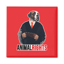 Animal Rights