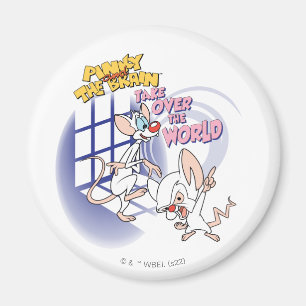 Imã Animaniacs Assumir O Gráfico Mundial