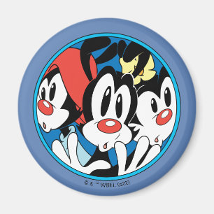 Imã Animaniacs   Gráfico do círculo dos irmãos Warner