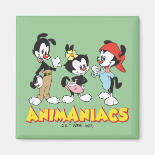 Imã Animaniacs   Yakko, Dot e Wakko Permanente