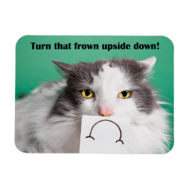 Ímã Anime-Se Encorajando Gato Engraçado Com Sapo