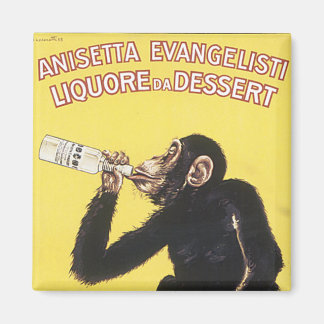 Imã Anisetta Evangelisti