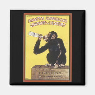 Imã Anisetta Evangelisti Vintage Líquido E Magnet