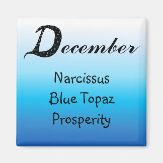 Imã Aniversário de Dezembro