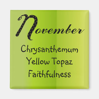 Imã Aniversário de Novembro