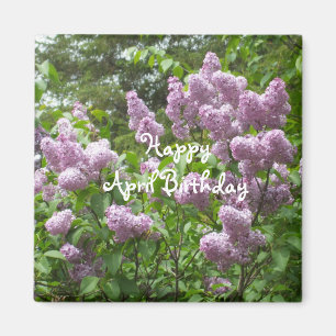 Imã Aniversário-Lilac Bush de abril