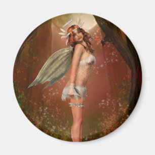 Imã Anjo da terra