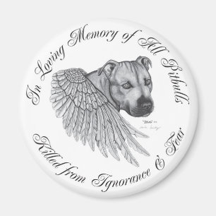 Imã Anjo de Zeus