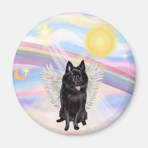 Imã Anjo Schipperke