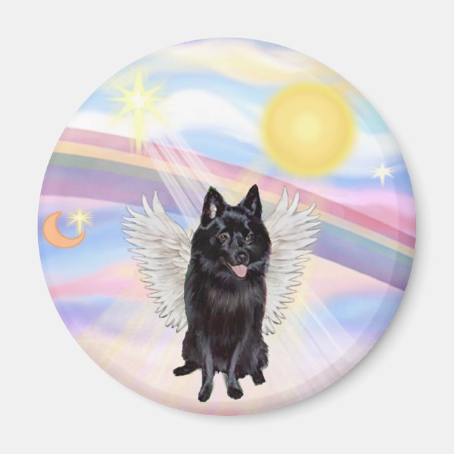Imã Anjo Schipperke (Frente)