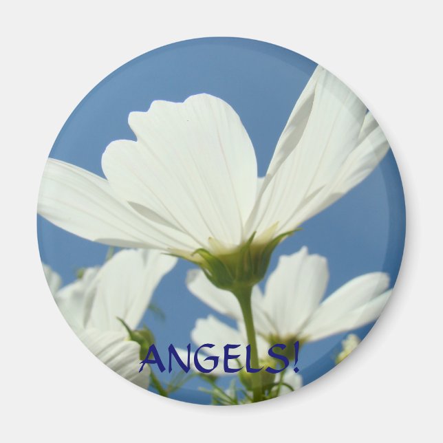 Imã Anjos! Ímã de Margaridas com Asas de Flor de Marga (Frente)