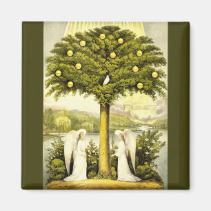 Imã anjos por cima do ímã