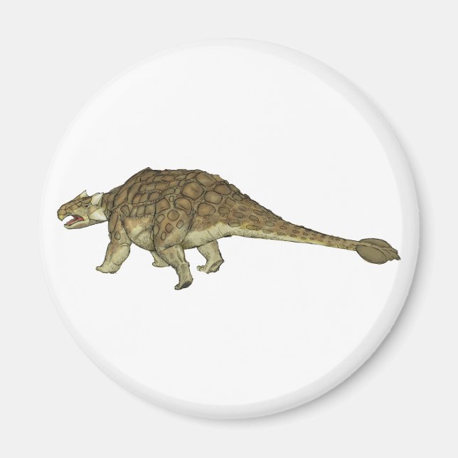 Imã Ankylosaurus (Frente)