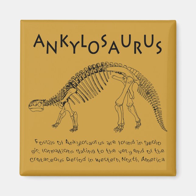 Imã Ankylosaurus Magnet (Frente)