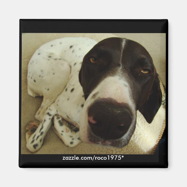 Imã Anos Cães (Frente)