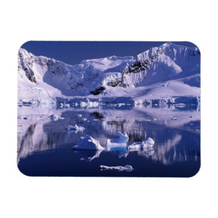 Ímã Antártica, Baía do Paraíso