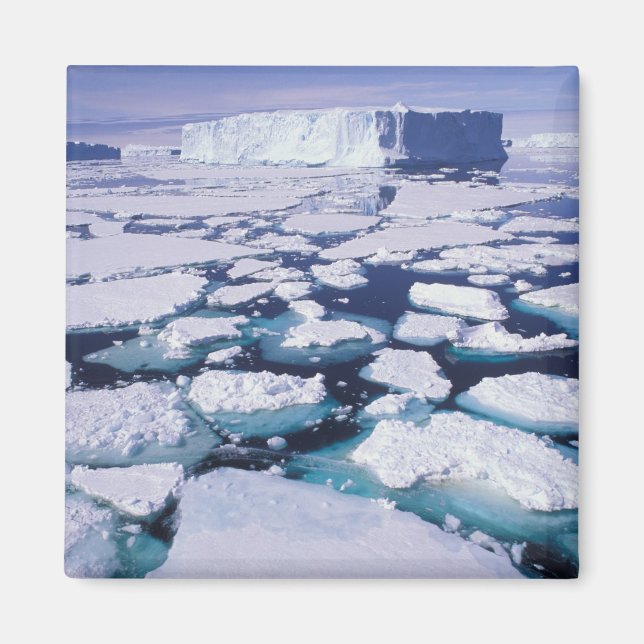 Imã Antártica, Fluxo de gelo. (Frente)