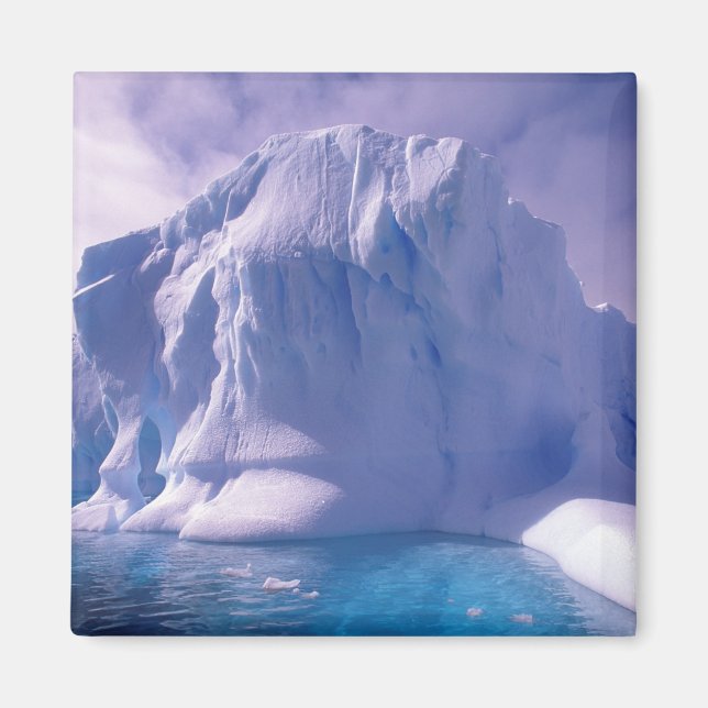 Imã Antártida. Paisagens de gelo antárticas (Frente)