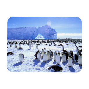 Ímã Antártida, Península Antártica, Mar de Weddell, 5