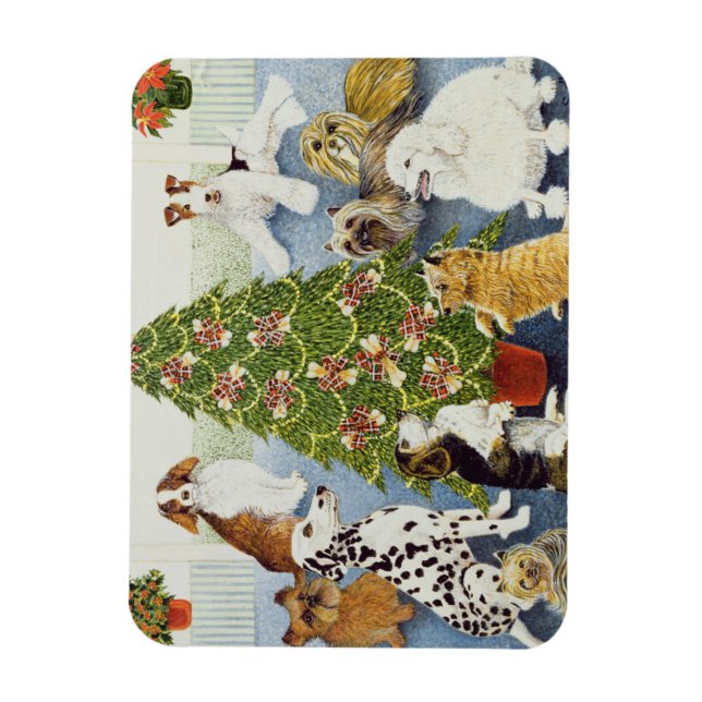 Ímã Antecipação (Vertical)