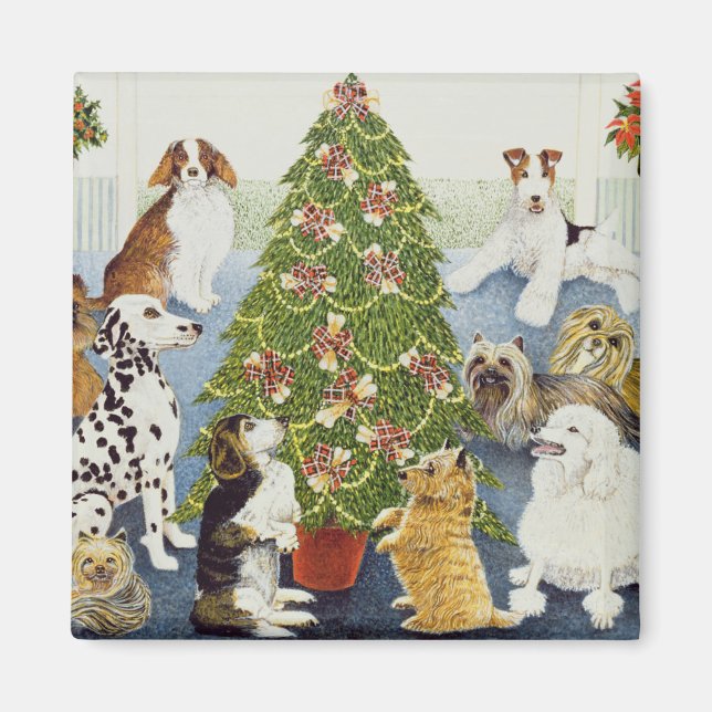 Imã Antecipação (Frente)