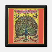 Antecipador de pavão vermelho amarelo