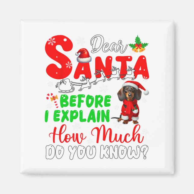 Imã Antes De Explicar O Quanto Conhece O Xmas Dachshun (Frente)