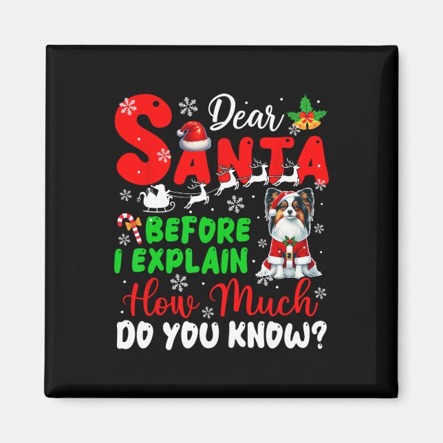 Imã Antes De Explicar O Quanto Conhece Xmas Papillon O (Frente)