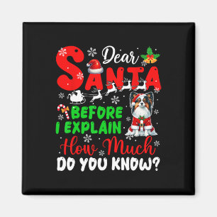 Imã Antes De Explicar O Quanto Conhece Xmas Papillon O