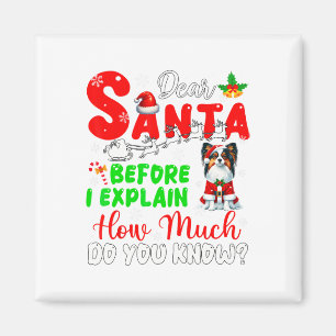 Imã Antes De Explicar O Quanto Conhece Xmas Papillon O