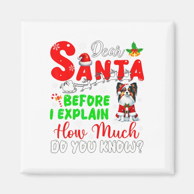 Imã Antes De Explicar O Quanto Conhece Xmas Papillon O (Frente)