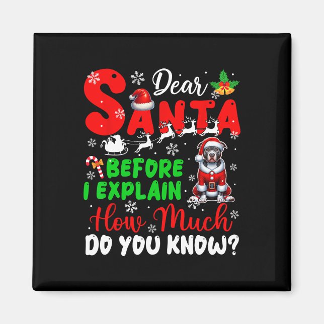 Imã Antes De Explicar O Quanto Você Sabe Xmas Pit Bull (Frente)