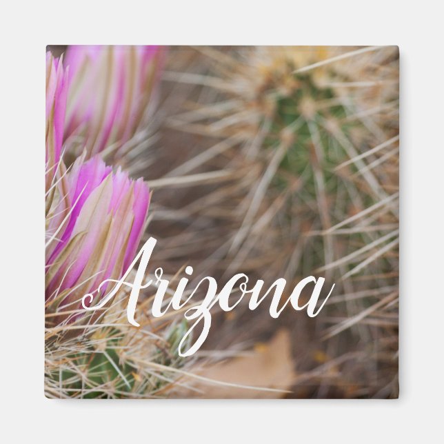 Imã Antes que floresça, Arizona (Frente)