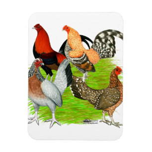 Ímã Antigo Quarteto de Jogo Inglês