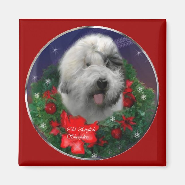 Imã Antigos presentes de Natal para Sheepdog em Inglês (Frente)