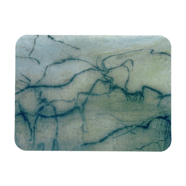 Ímã Antílope e bison, Perigordiano (pintura caverna) (Horizontal)