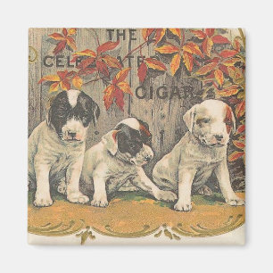 Imã Anúncios De Cigarro De Vintagem Adoráveis