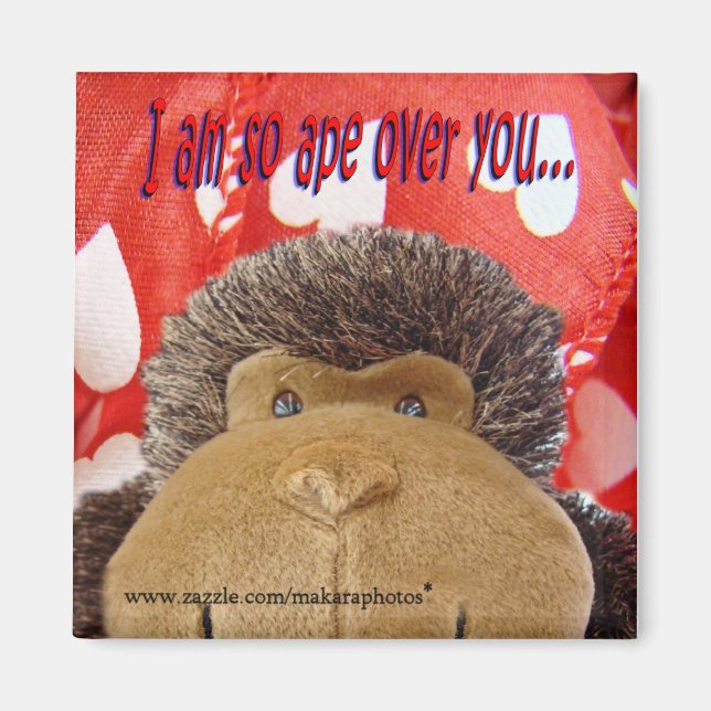 Imã Ape sobre seu íman (Frente)