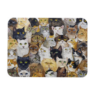 Ímã Apenas a suiça do gato