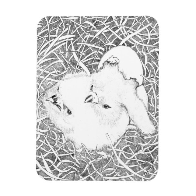 ÍMÃ APENAS ÁGUAS E15 + E16 QUERENDO CAFÉ DA MANHÃ (Vertical)