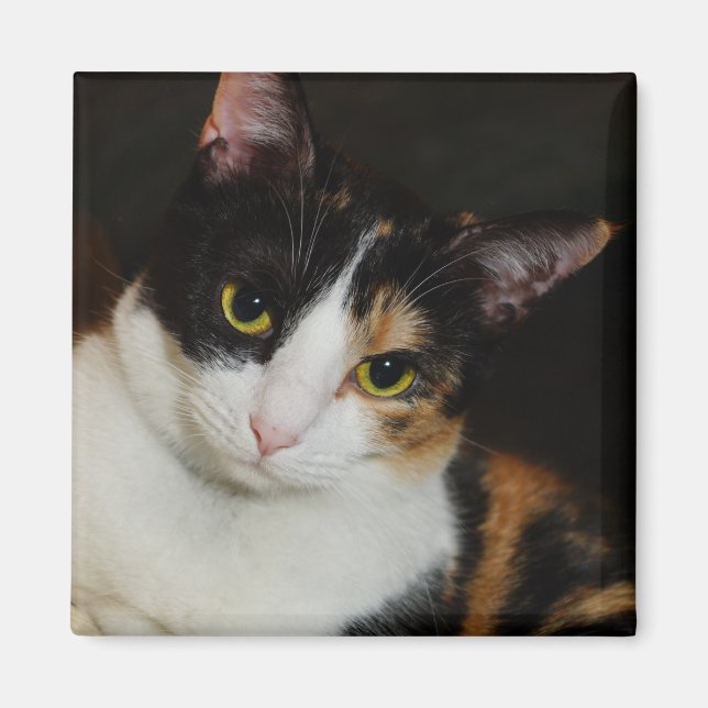 Imã Apenas Andando Por Aí (Frente)