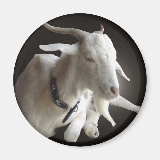 Imã Apenas Billy (Frente)