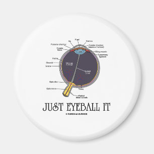 Imã Apenas Eyeball o (dizer da aproximação da anatom