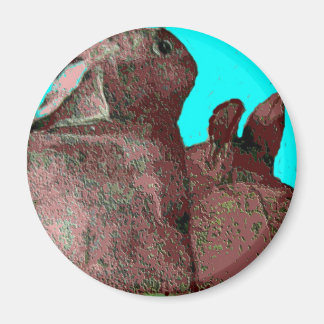 Imã apenas nós dois