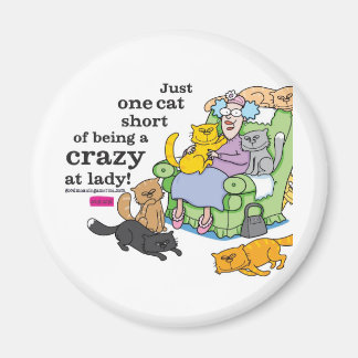 Imã Apenas Um Gato Sem Ser Uma Mulher De Gato Louca