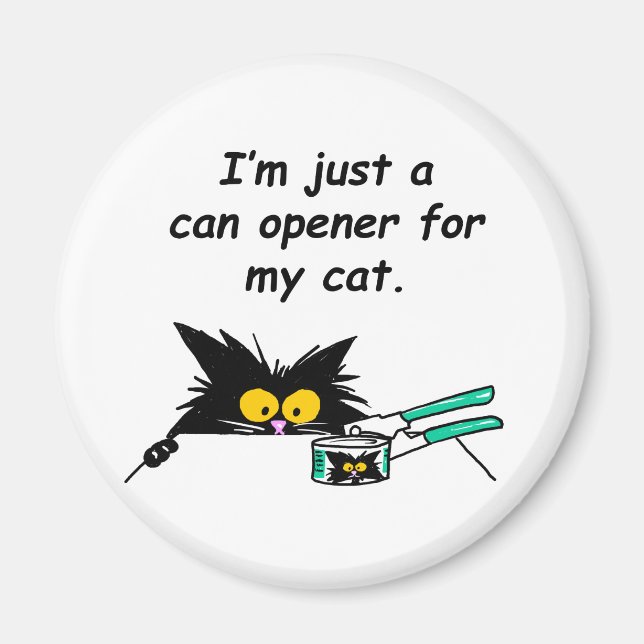 IMÃ APENAS UMA ABERTURA PARA O MEU GATO (Frente)