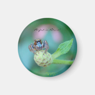 Imã Aperfeiçoe no prêmio da natureza