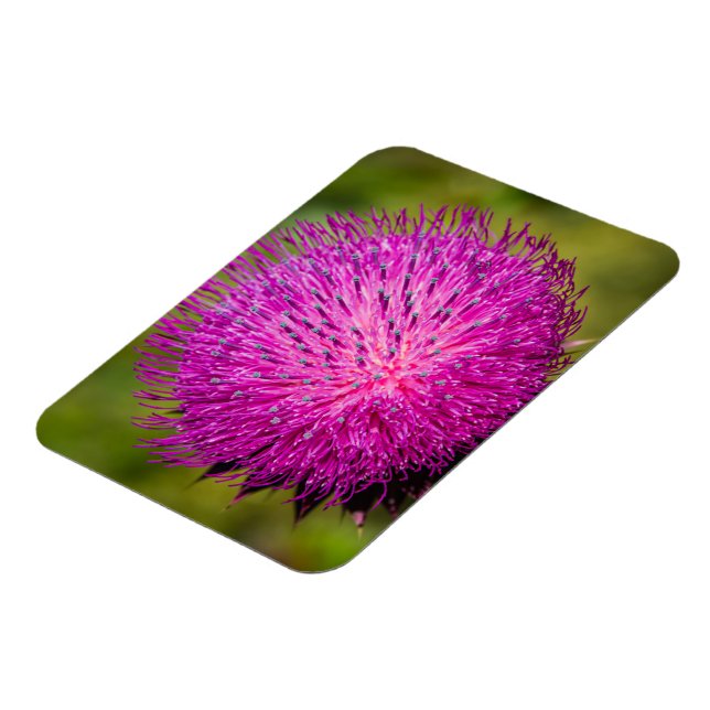 Ímã Aperto do caroço do leite (Left Side)